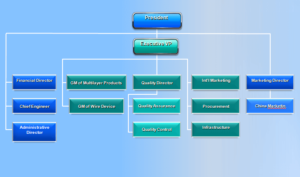 company structure