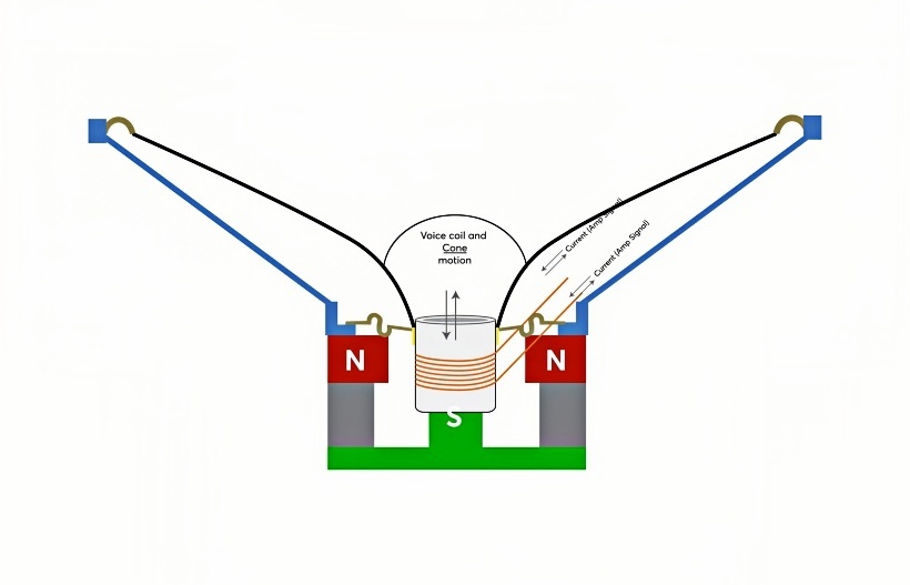 Speaker Voice Coil Diagram A speaker's voice coil